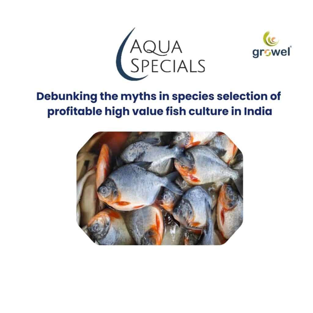 Debunking the myths in species selection of profitable high value fish ...